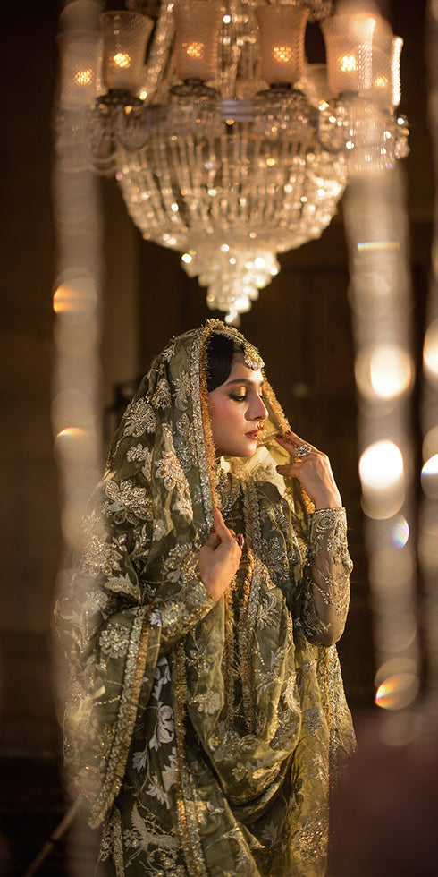 Organza 3 Piece Suit MALIKA JAN