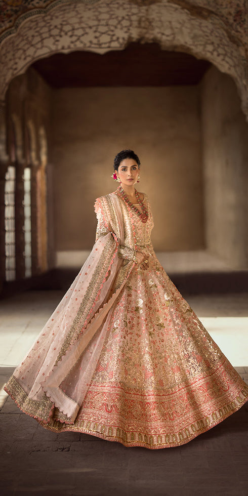 Organza 3 Piece Suit ZOHRA