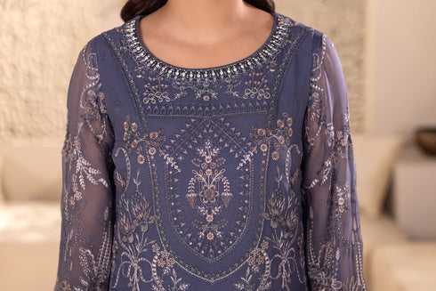 Flossie Embroidered Chiffon Suit DA-05