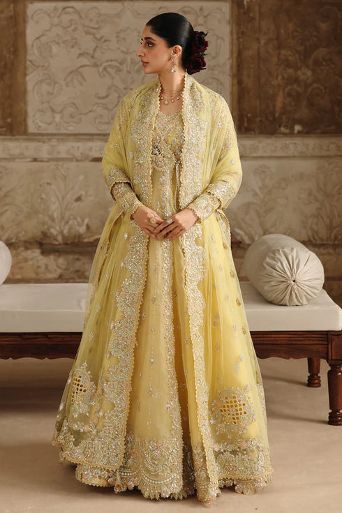 Qalamkar Embroidered Organza Suit RH-06 HOOR