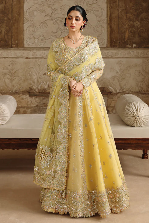 Qalamkar Embroidered Organza Suit RH-06 HOOR