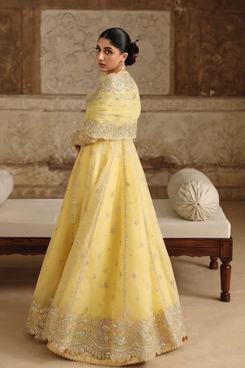 Qalamkar Embroidered Organza Suit RH-06 HOOR