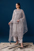 Alizeh Embroidered Net Suit AF-NHM-4055-Maeve