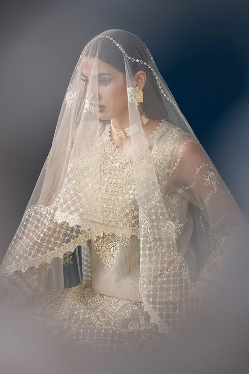 Alizeh Embroidered Net Suit AF-NHM-4056-Velor