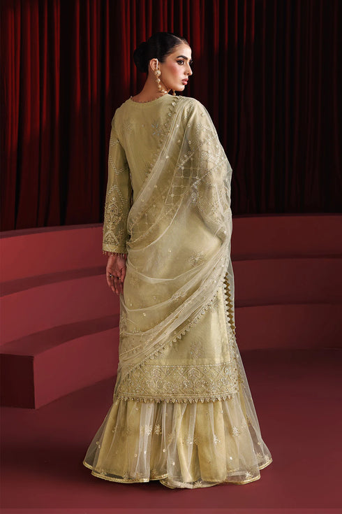 Alizeh Embroidered Net Suit AF-NHM-4057-Coco