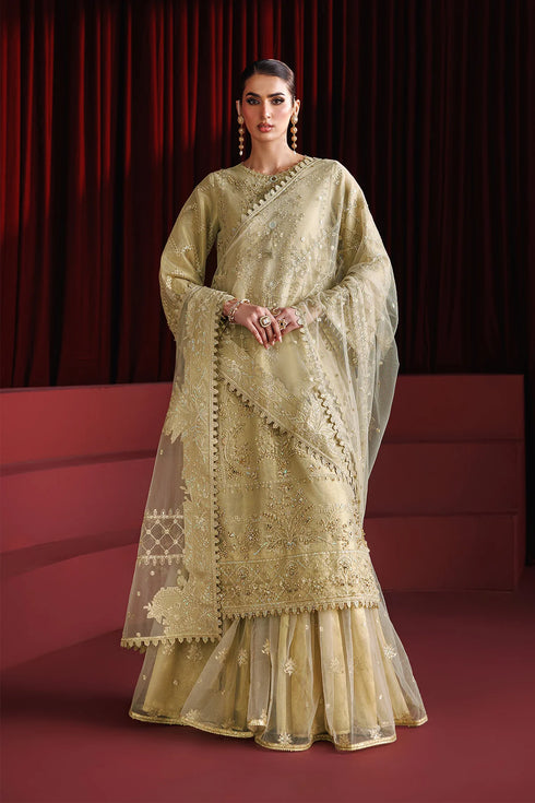 Alizeh Embroidered Net Suit AF-NHM-4057-Coco