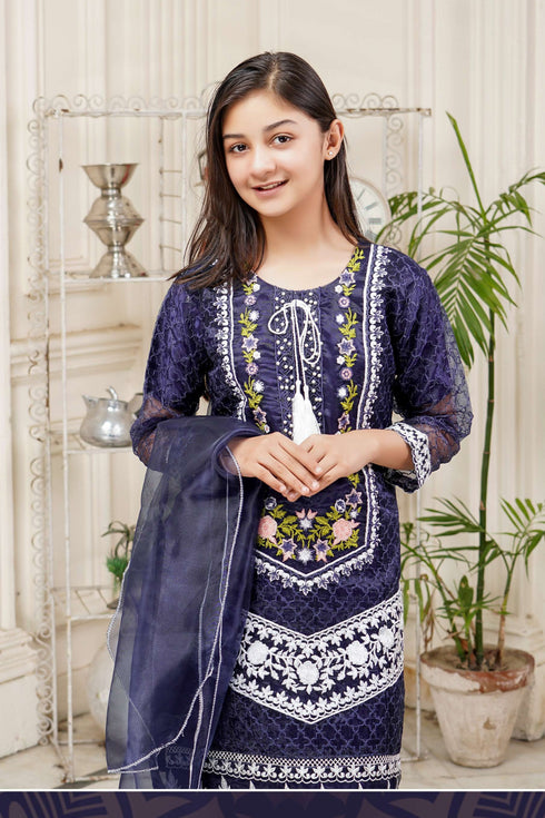 Lush Embroidered Organza 3 Piece Suit L-136
