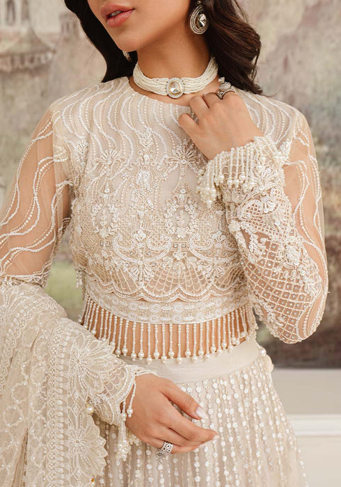 Zarqash Embroidered Net 3 piece suit ARELA