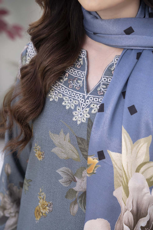 Raniya Embroidered Dhanak 3 Piece Suit RH-06