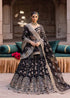 Embroidered Tussel Silk Net Bridal Dress Nehaab