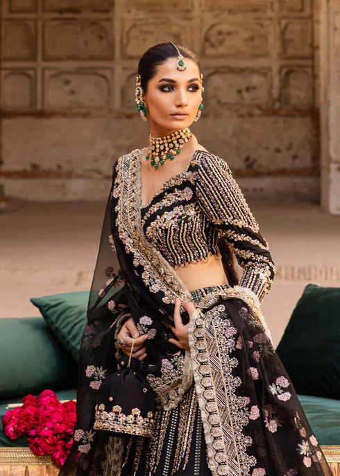 Embroidered Tussel Silk Net Bridal Dress Nehaab