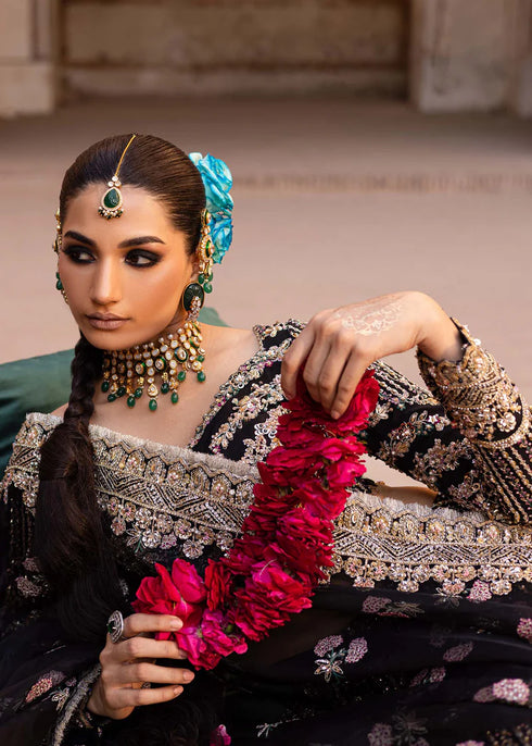 Embroidered Tussel Silk Net Bridal Dress Nehaab