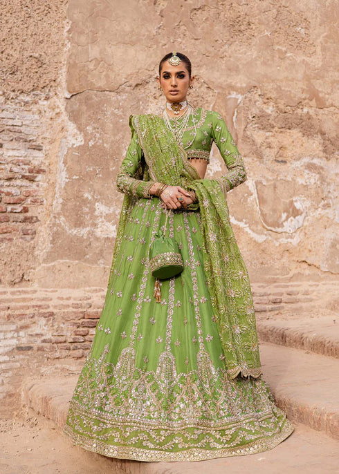 Embroidered Tussel Silk Net Bridal Dress Nashmira