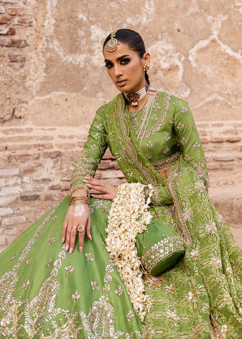 Embroidered Tussel Silk Net Bridal Dress Nashmira