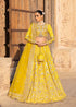 Embroidered Tussel Silk Net Bridal Dress Nureh