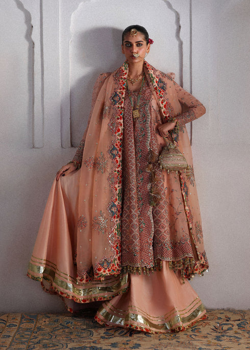 Hussain Rehar Embroidered Organza Suit Malka
