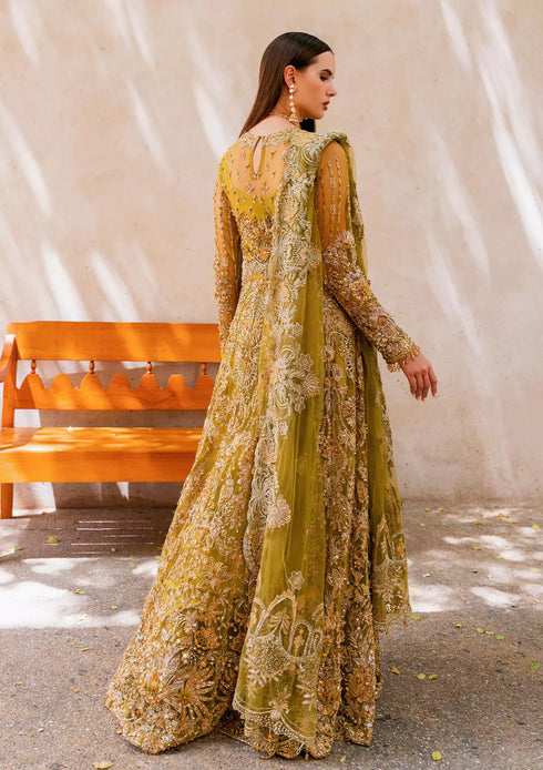 Elaf Embroidered Net 3 Piece EEB-05 HENNA