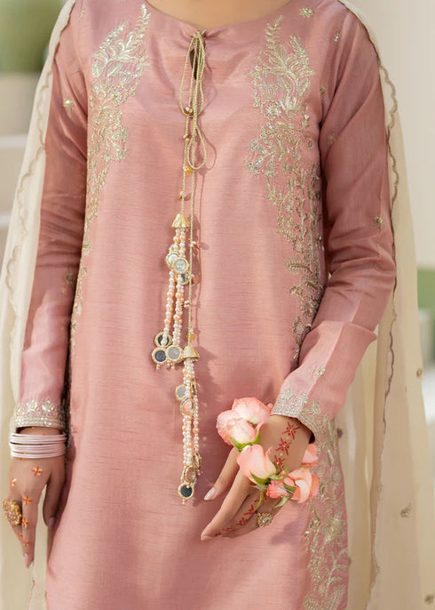 Zarqun Embroidered Raw Silk 3PC Suit 25103A