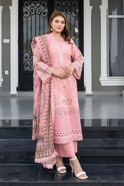Munira Designer Embroidered Cotton Chikankari Suit MSL140