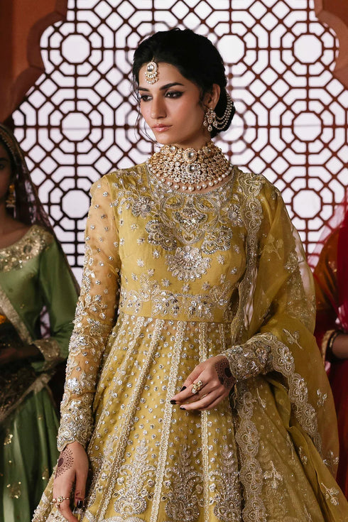 Akbar Aslam Embroidered Organza Suit Roshanara