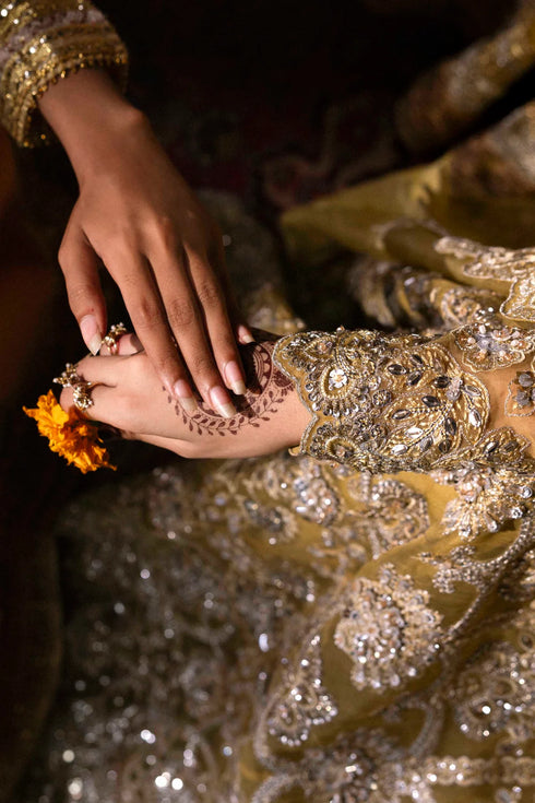 Akbar Aslam Embroidered Organza Suit Roshanara