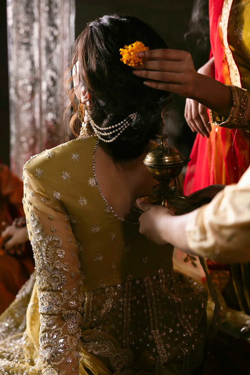 Akbar Aslam Embroidered Organza Suit Roshanara