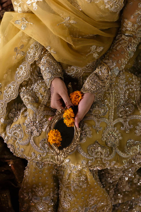 Akbar Aslam Embroidered Organza Suit Roshanara