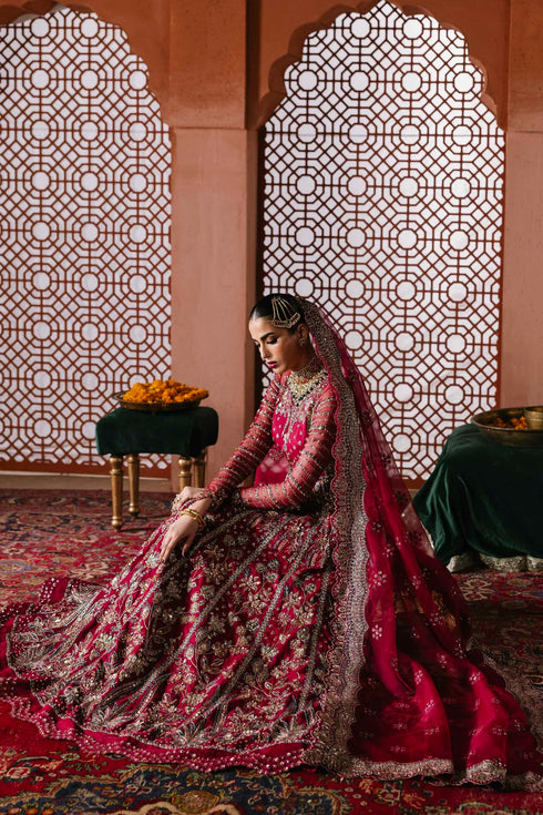 Akbar Aslam Embroidered Organza Suit Jahanara