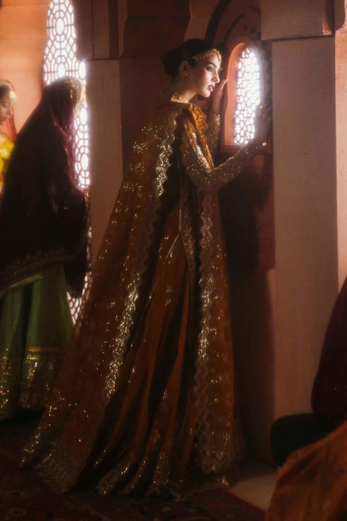 Akbar Aslam Embroidered Organza Suit Zareen