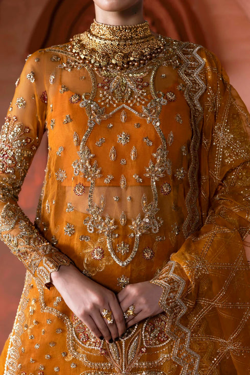 Akbar Aslam Embroidered Organza Suit Zareen