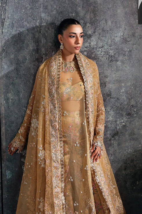 Zarposh Embroidered Organza Suit LUSTRE