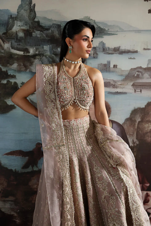 Zarposh Embroidered Organza Suit CELESTE