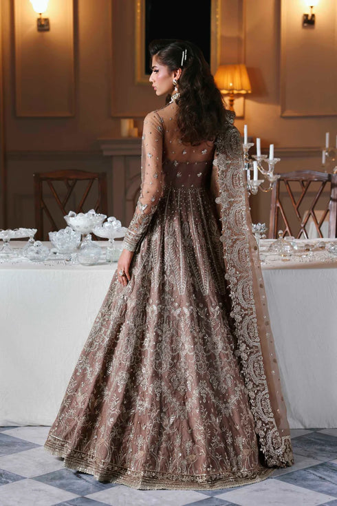Akbar Aslam Embroidered Net Suit Noorzaib