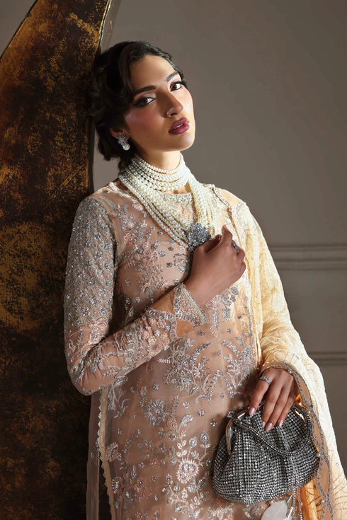 Akbar Aslam Embroidered Organza Suit Aabroza