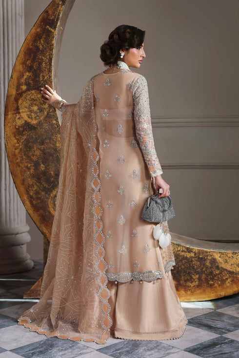 Akbar Aslam Embroidered Organza Suit Aabroza
