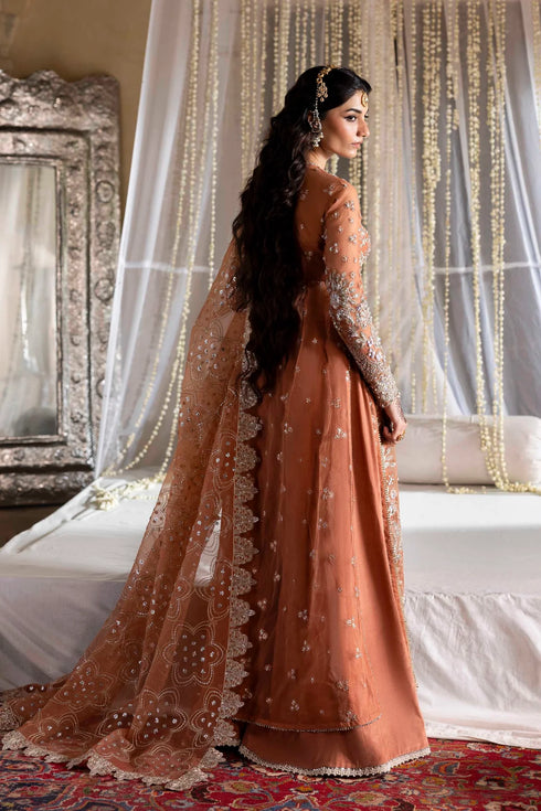 Akbar Aslam Embroidered Organza Suit Meherun