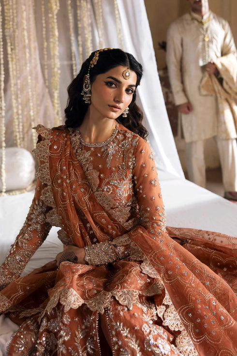 Akbar Aslam Embroidered Organza Suit Meherun