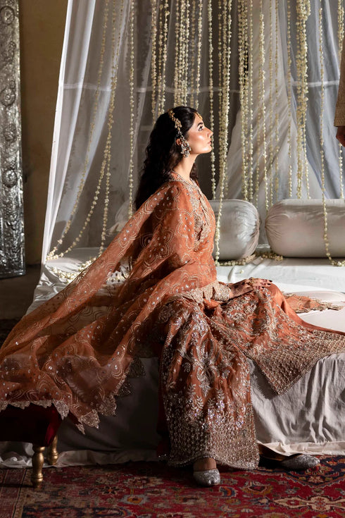 Akbar Aslam Embroidered Organza Suit Meherun