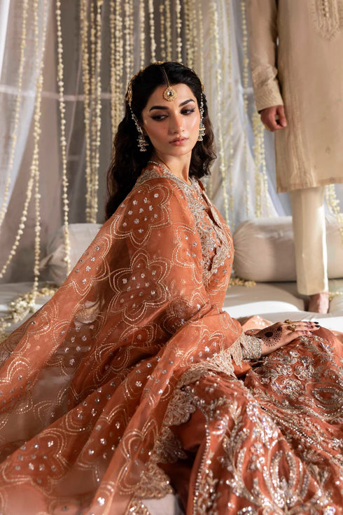 Akbar Aslam Embroidered Organza Suit Meherun