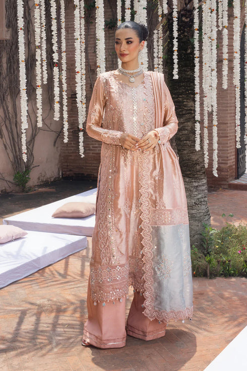 Rang Rasiya Embroidered Zari Organza Suit Nayab