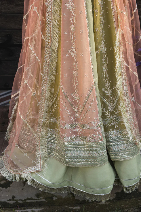 Rang Rasiya Embroidered Chiffon Suit Amil
