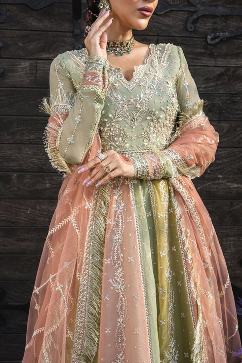 Rang Rasiya Embroidered Chiffon Suit Amil