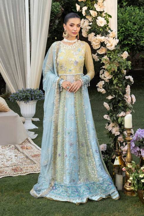 Rang Rasiya Embroidered Organza Suit Samara