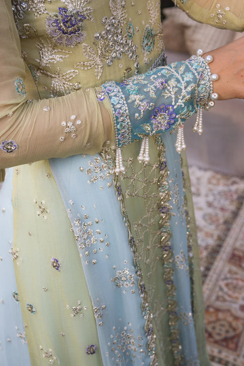 Rang Rasiya Embroidered Organza Suit Samara