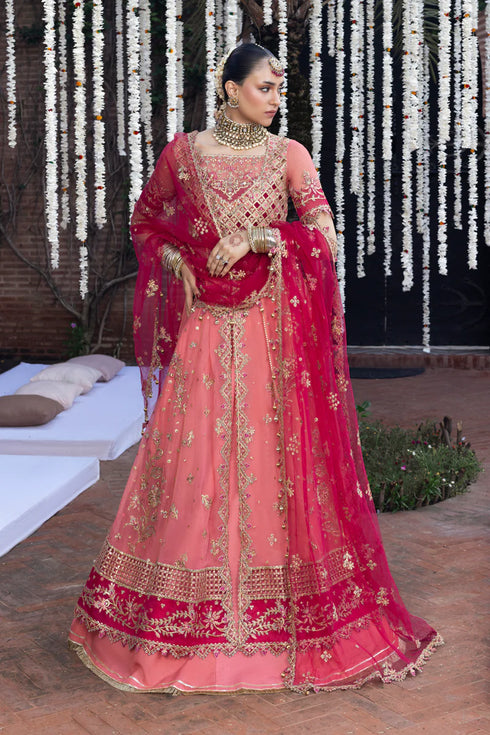 Rang Rasiya Embroidered Organza Suit Narmeen