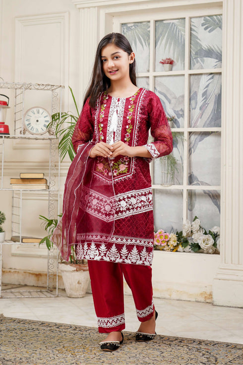 Lush Me & Mummy Embroidered Organza 3 Piece Suit L-135