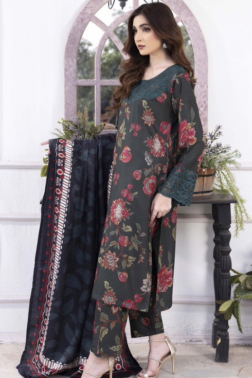 Raniya Embroidered Dhanak 3 Piece Suit RH-01