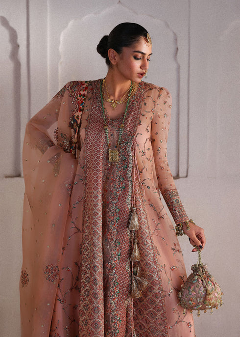 Hussain Rehar Embroidered Organza Suit Malka