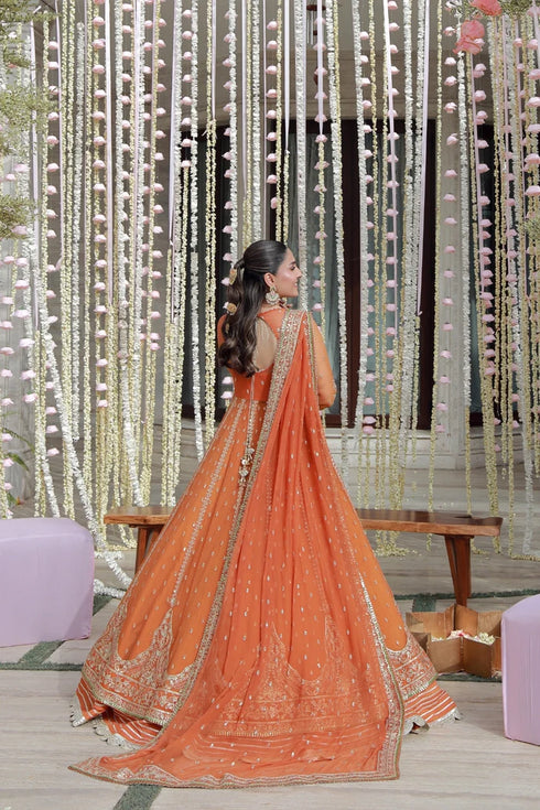 Gulmina Embroidered Chiffon Suit Anaya