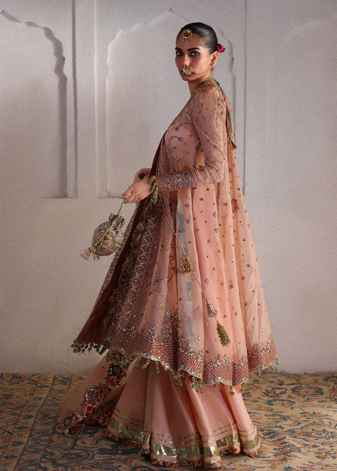 Hussain Rehar Embroidered Organza Suit Malka